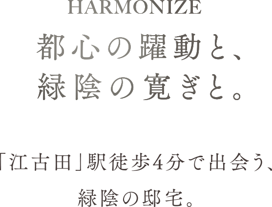 都心の躍動と、緑陰の寛ぎと。