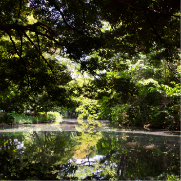 和田堀公園写真