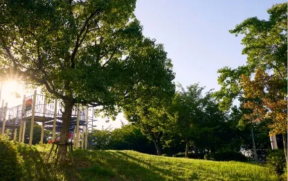 苔谷公園